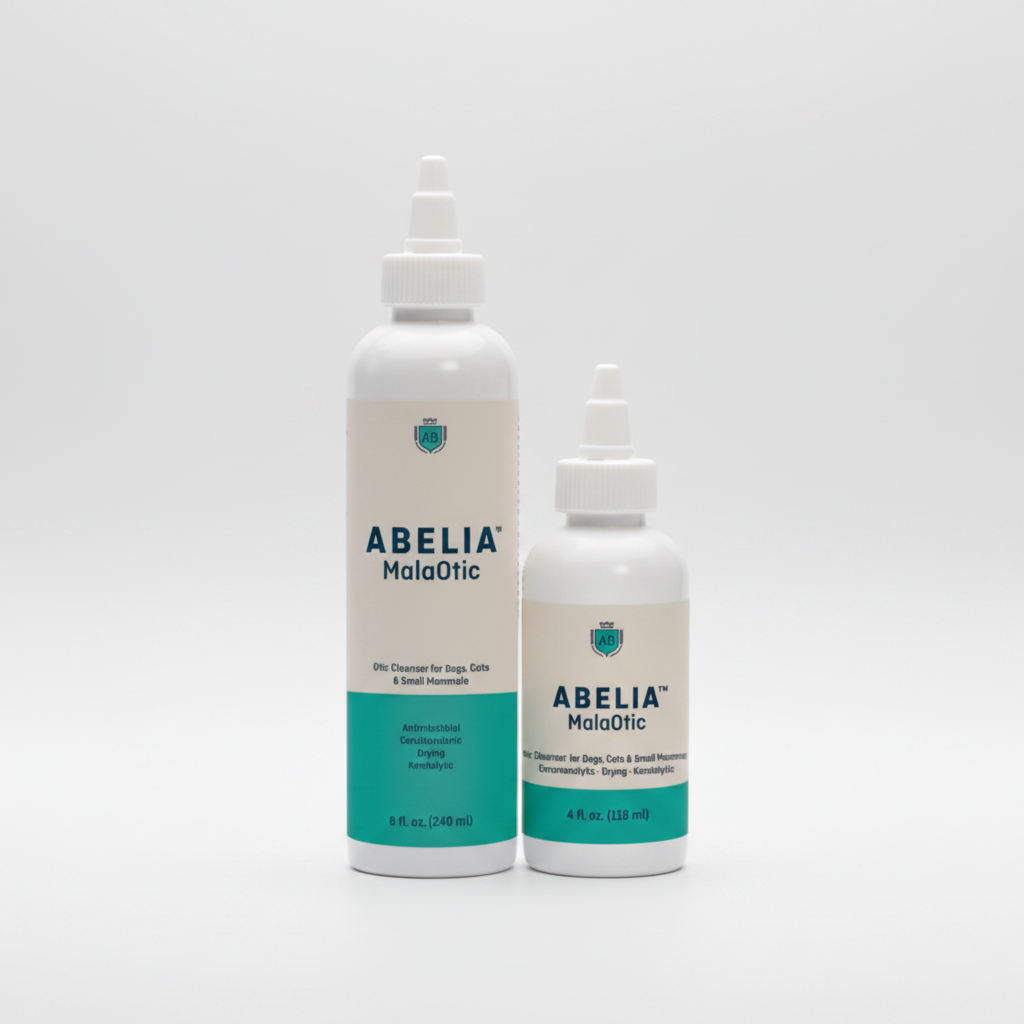 Abelia MalaOtic