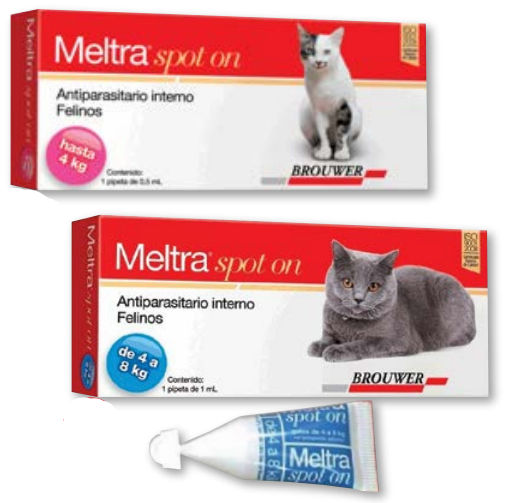 Meltra Spot On Gatos