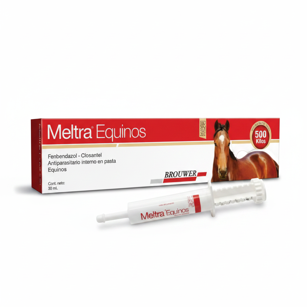 Meltra Equinos