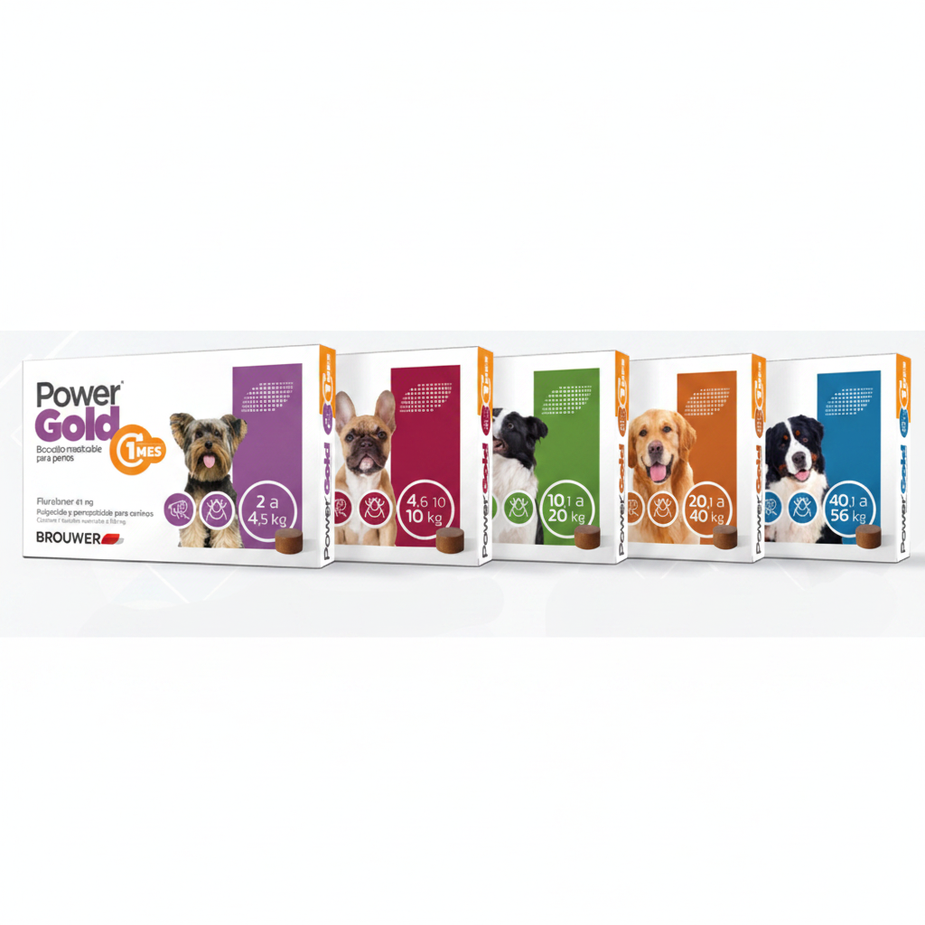 Power Gold 1 Mes